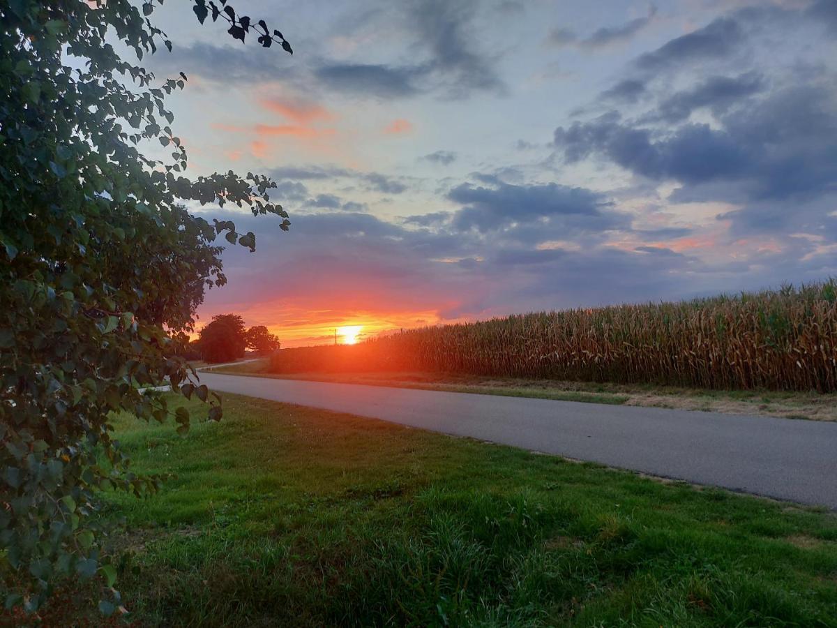 De Berenshoeve Emmen Buitenkant foto